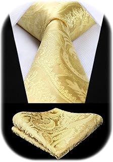 Cravate Homme Paisley Cravates en Soie pour Hommes Mariage Cravatte et Pochette Set