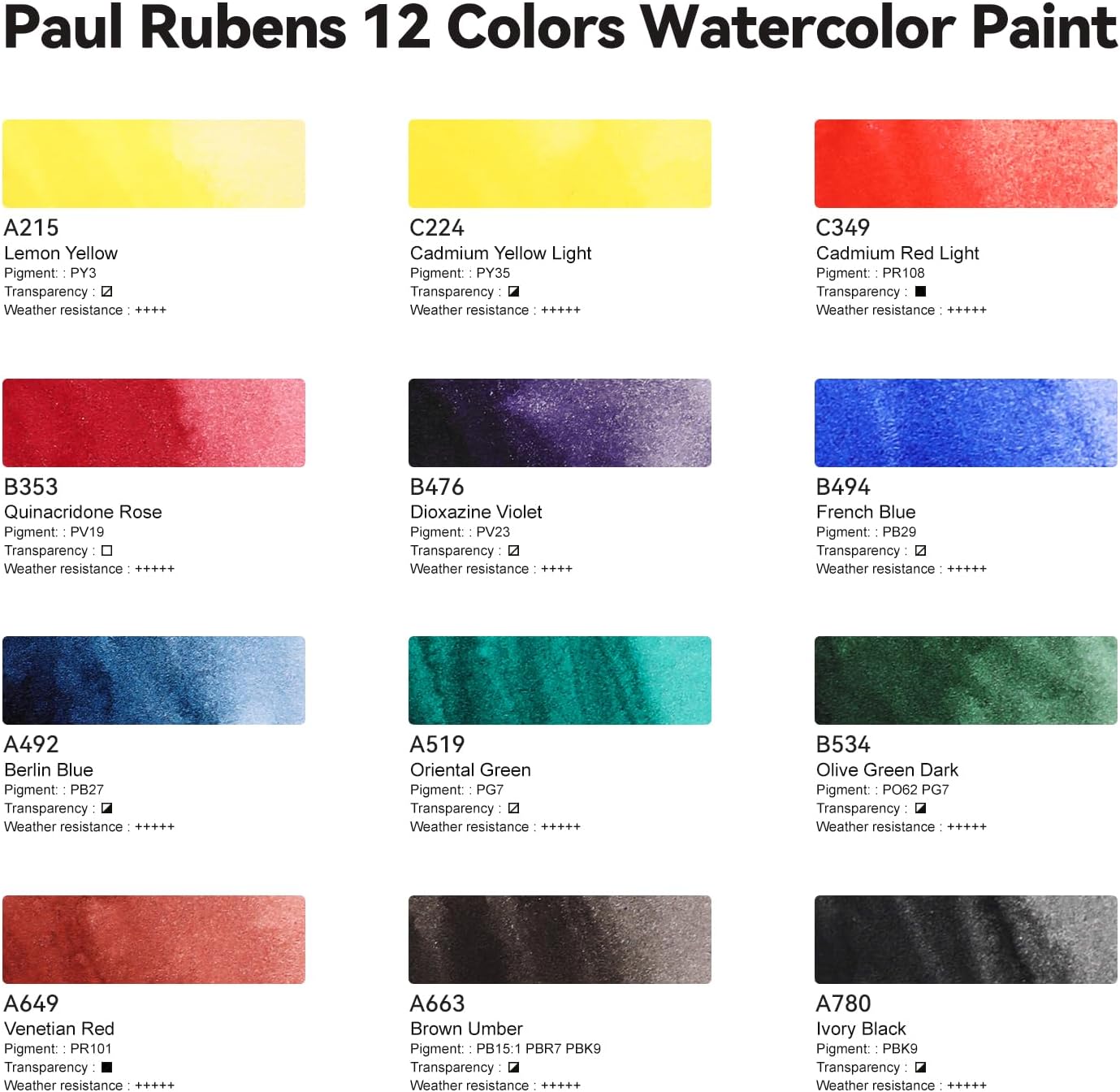 Paul Rubens Artist Watercolor Paint Set,12 Vibrant Colors in Portable Box, Great Lightfastness, Perfect Travel Professional Watercolor Set for Artists, Beginners, Adults
