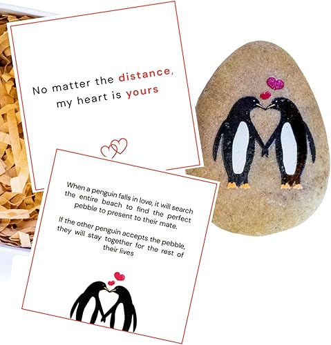 Distance Relationship Gift – Penguin Pebble – I Love You - Astronomy Gifts For Boyfriend
