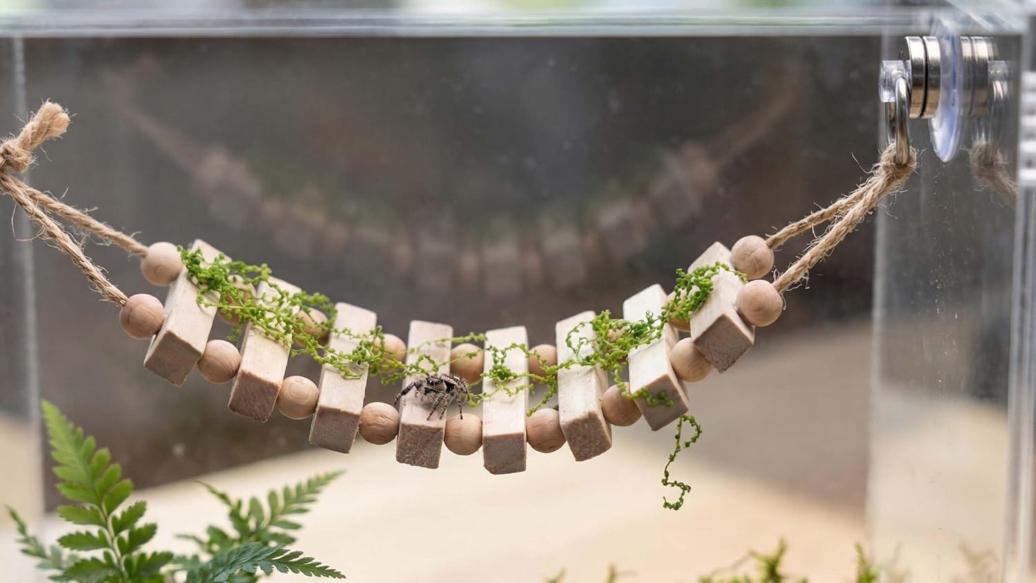 Jumping Spider Enclosure Accessories Magnetic Jumping Spider Rope Bridge with Artificial Moss Handmade Rectangular Solid Wood Suspension Bridge (Natural Wood Color) image 4