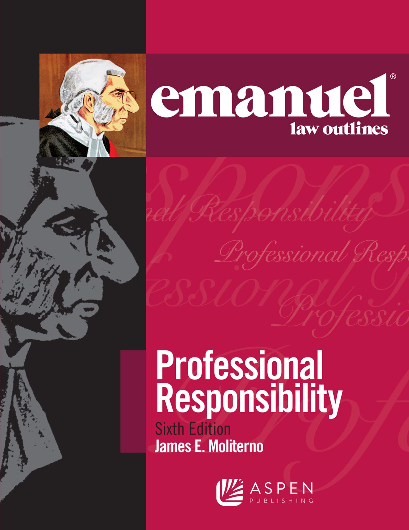 Emanuel Law Outlines for Professional Responsibility
