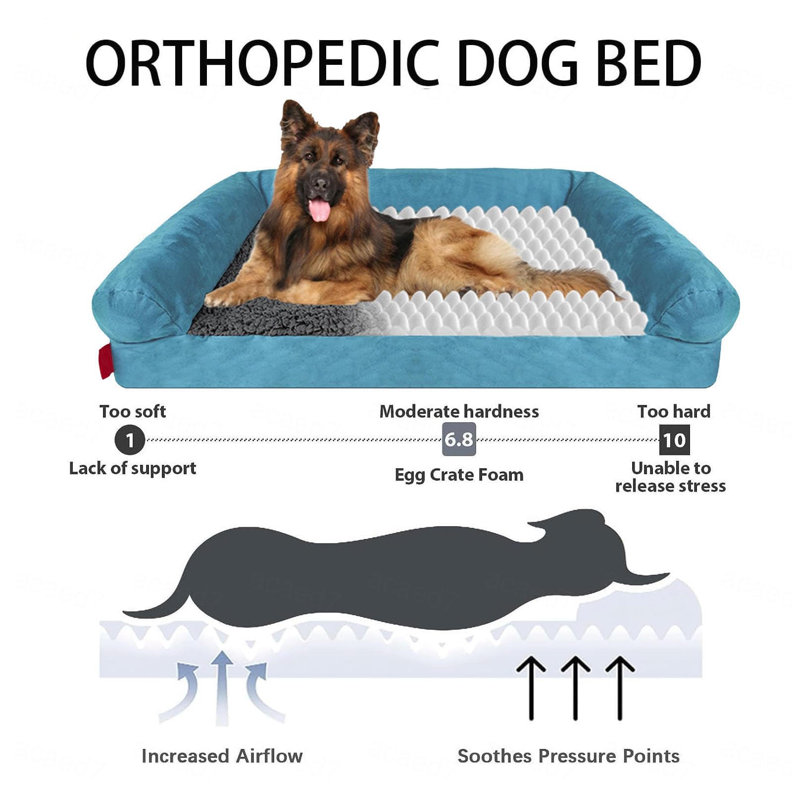 Cuccia Memory Foam Cane, con Schiuma A Forma di Uovo Cuccia Cani, Idrorepellente AntiGraffio,Sfodrabile Divanetto per Cani,L