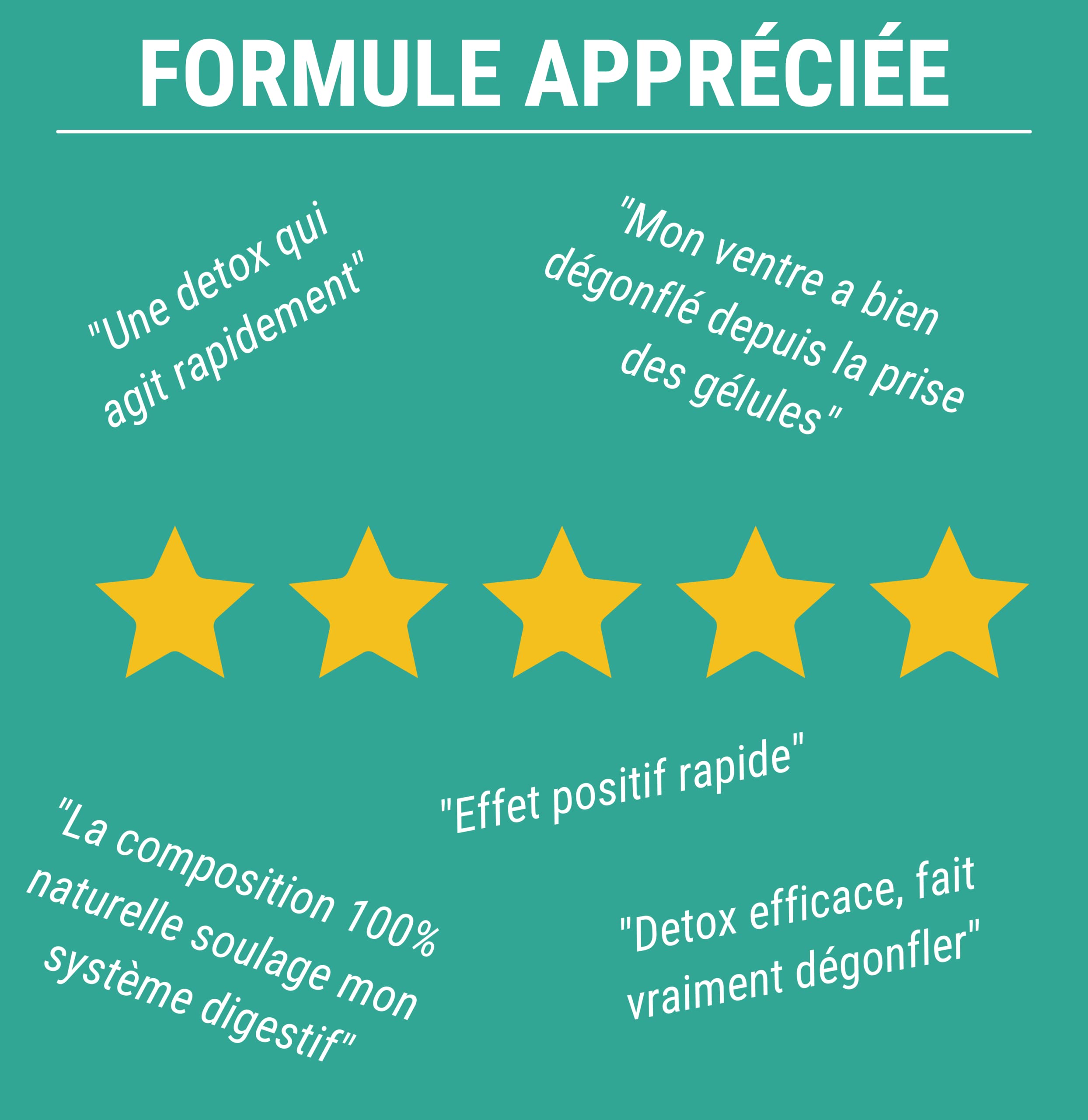 FORMULE DETOX | Complexe de Plantes : Artichaut Radis noir Queue de cerises Pissenlit Chardon marie | Detoxifiant Foie et Intestin | Detox Colon et Draineur Foie | 60 Gélules
