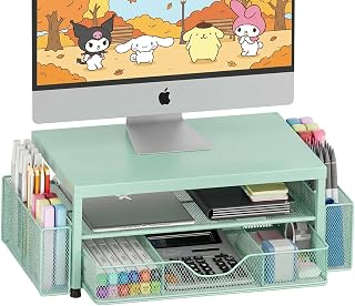 LEKETREE Metal Desk Organizer, 2-Tier Computer Monitor Stand Riser with Storage Drawer and 2 Pen Holders, Laptop & Printer Stand, Shelf for Top of Desk (Mint Green)