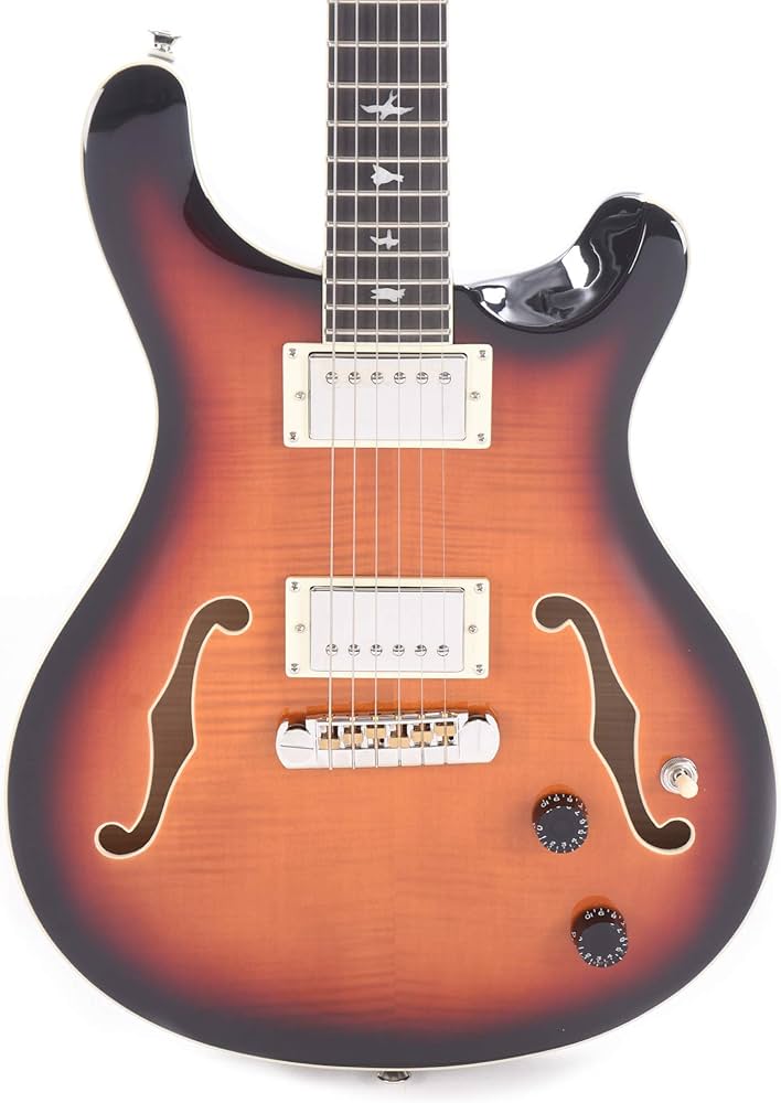 Amazon | SE Hollowbody II Tri-color Sunburst | エレキギター