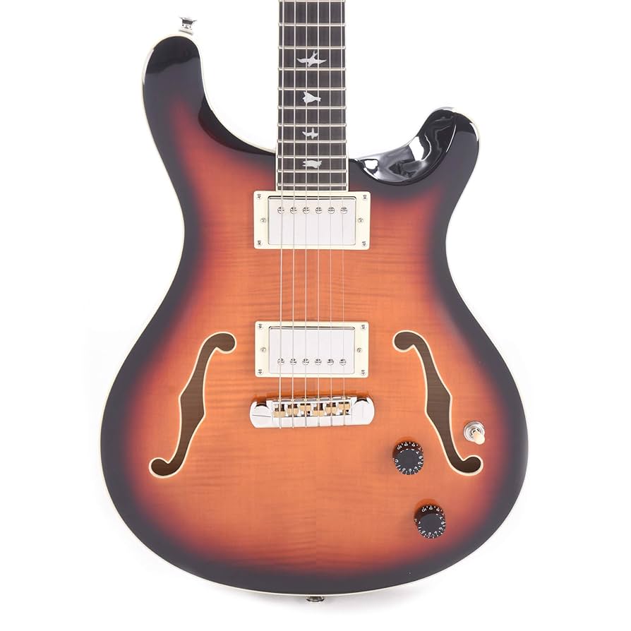 PRS SE Hollowbody サンバースト PAUL REED SMITH SE Hollowbody Standard (McCarty Tobacco