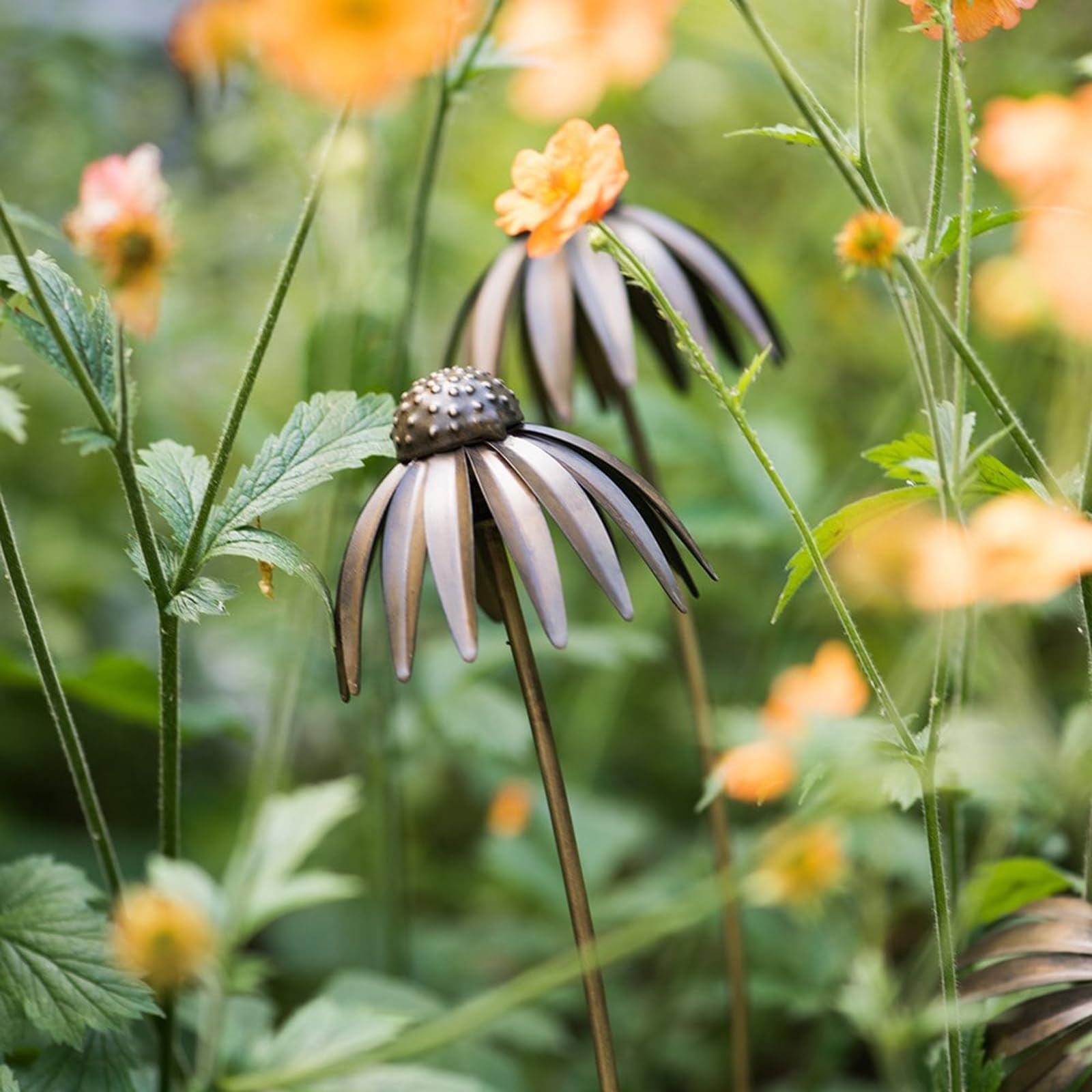 Crocus Brown Collection 61Cm Echinacea Planter Stake Plant Markers Antique Bronze Metal Handmade Flower Garden Decorations