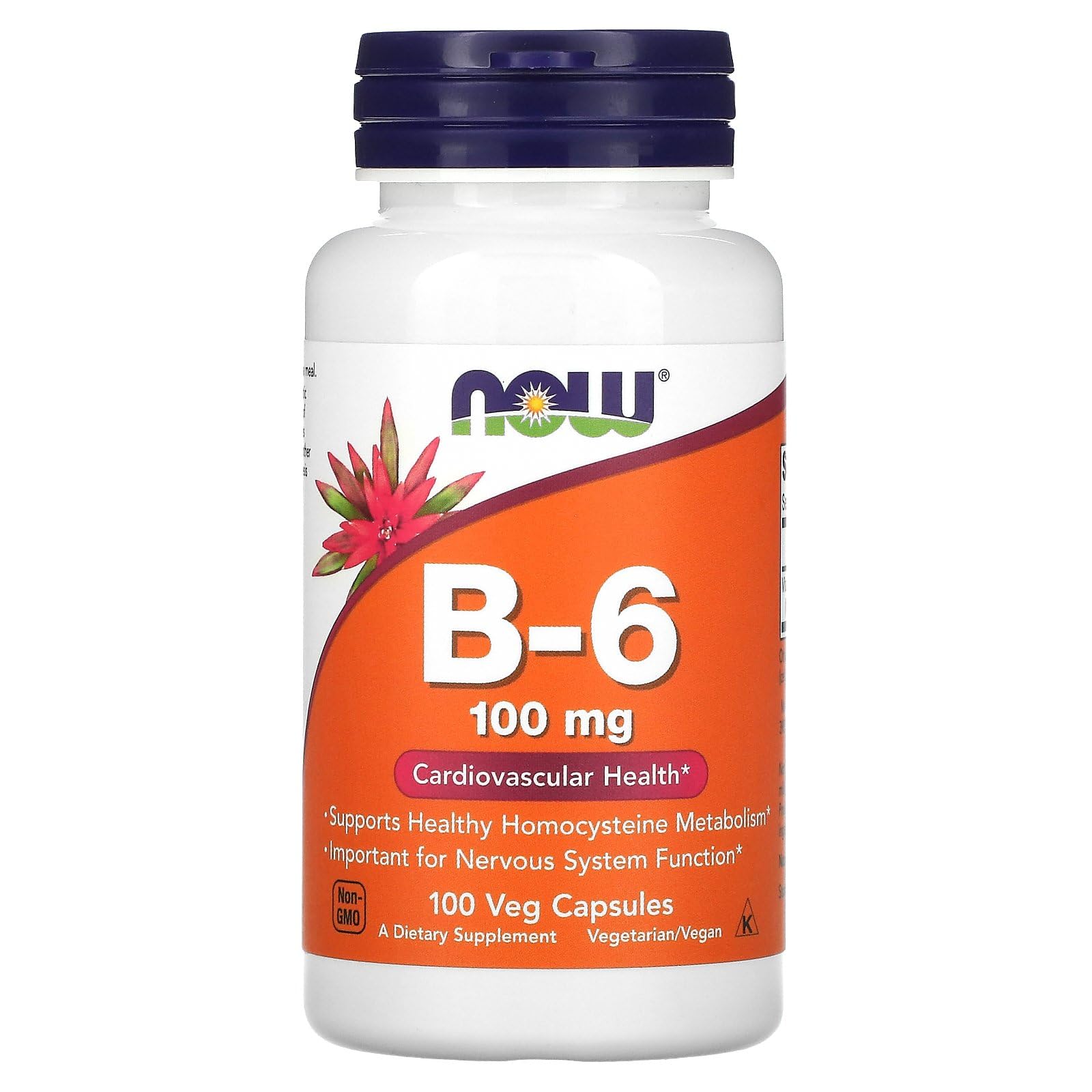 NOW Foods B-6 100 mg 100 Caps