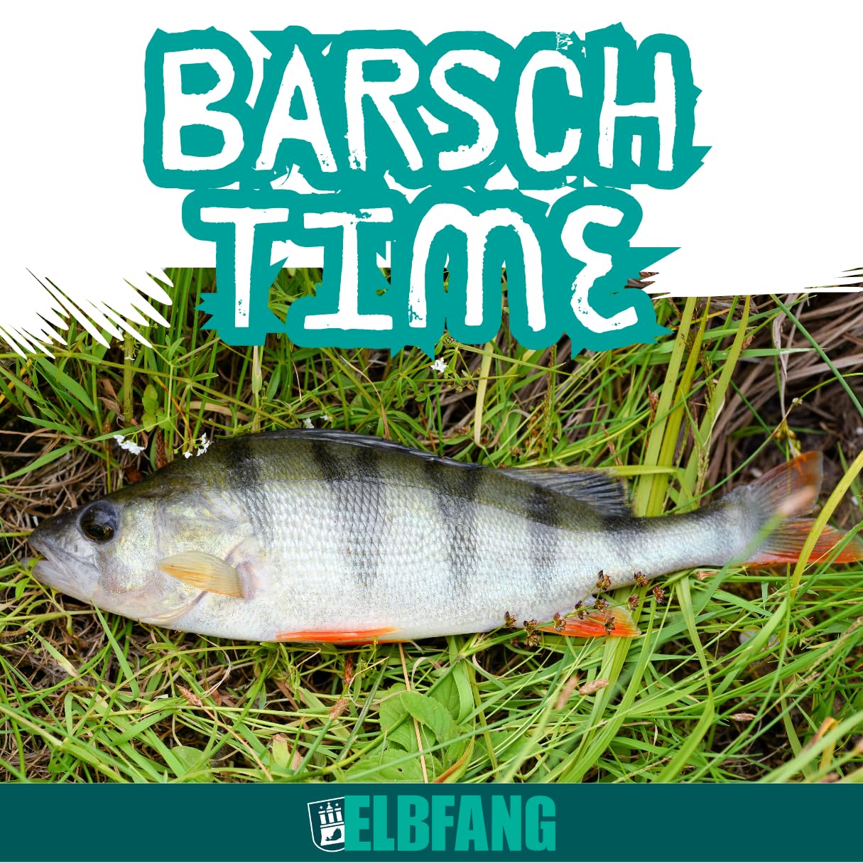 Kit 5 Cucchiai Da Pesca Per Trota - Esche UV E Autoluminose, Con Scatola E Rimuovi-Amo - Foto 11