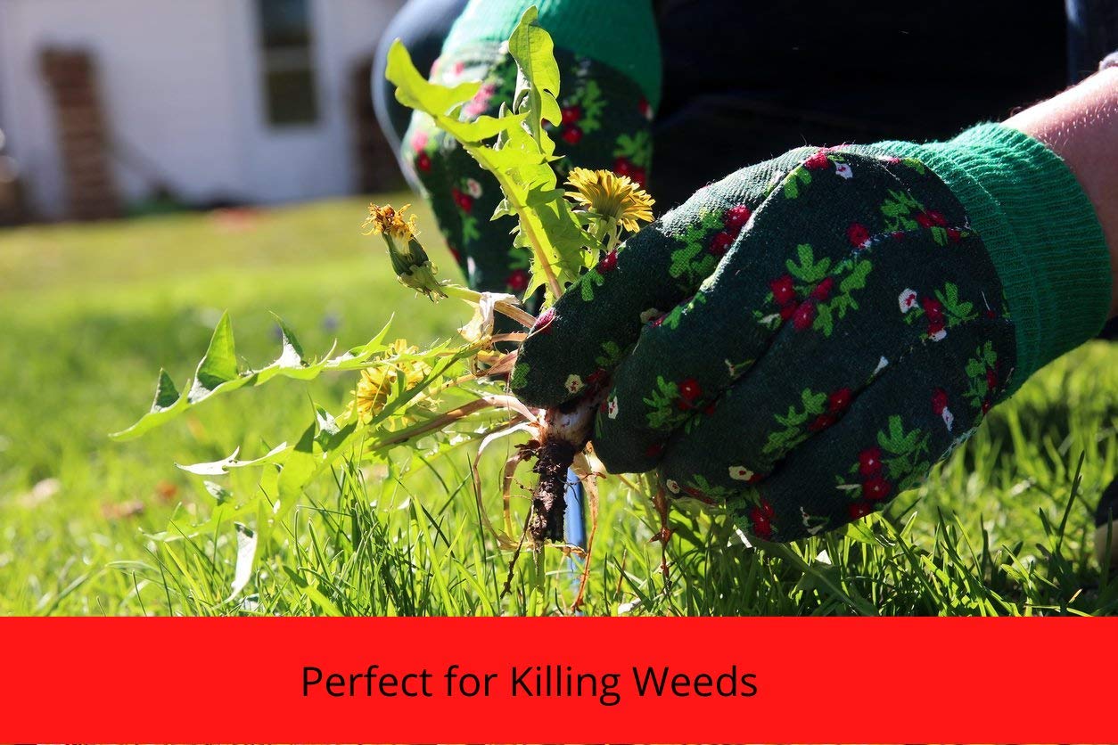 Red Rickshaw White Vinegar (5 Acidic) for Cleaning, Weed Killing