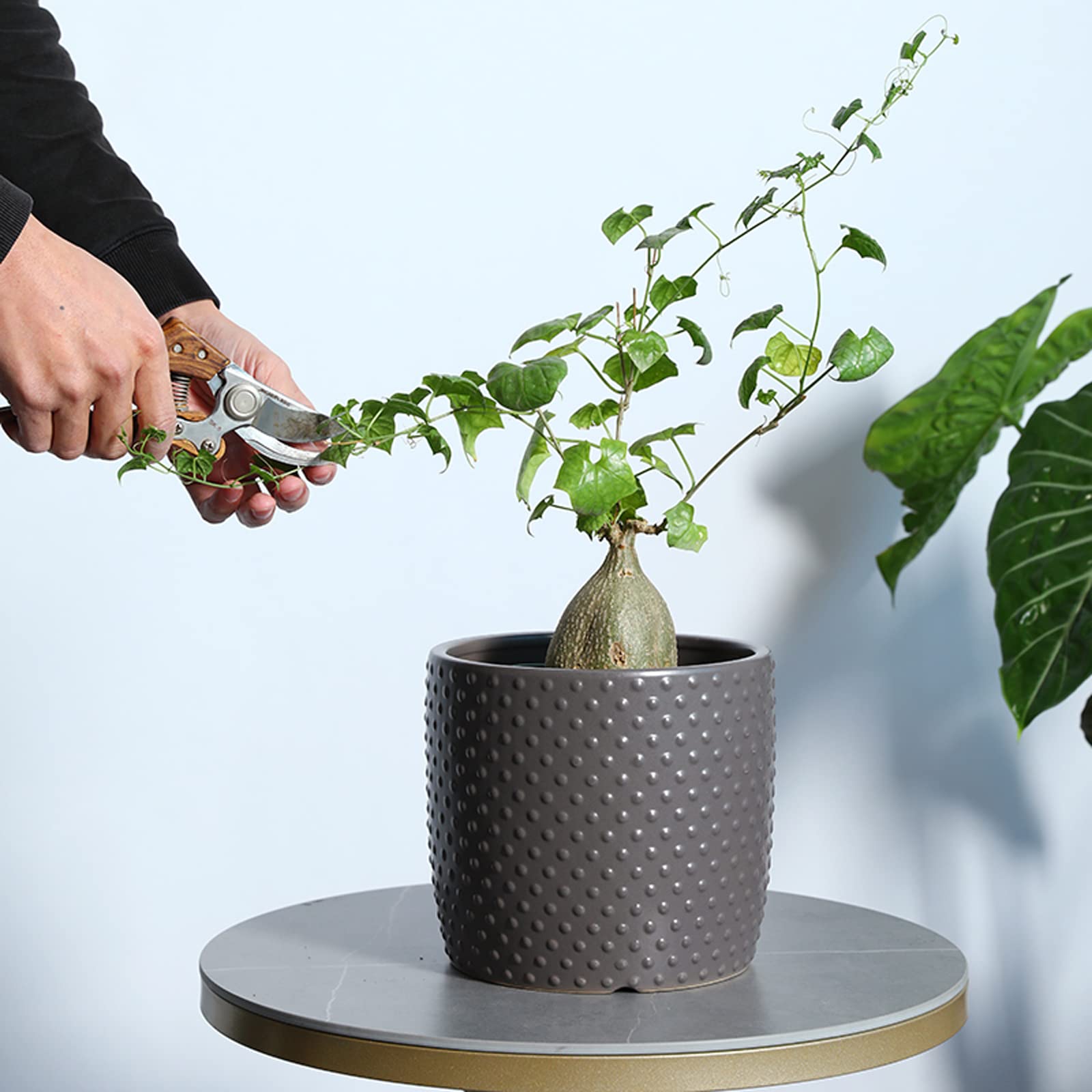 Vasi da Giardino Vasi per Piante in Ceramica per Piante da Interno, Vaso da Fiori a Pois in Rilievo da 5/6/7 Pollici con Foro di drenaggio per Decorare la casa, L'Ufficio