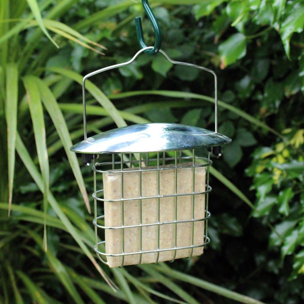 Happy Beaks Kingfisher Hanging Suet Fat Cakes Holder, Steel Wild Bird Block Meal Food Feeder