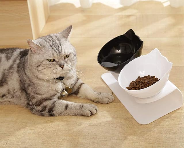 Foto 8 de 8 de VieVogue Cuenco del Gato, Plataforma Inclinada de 15 ° Comederos para Gatos Doble tazón con Soporte