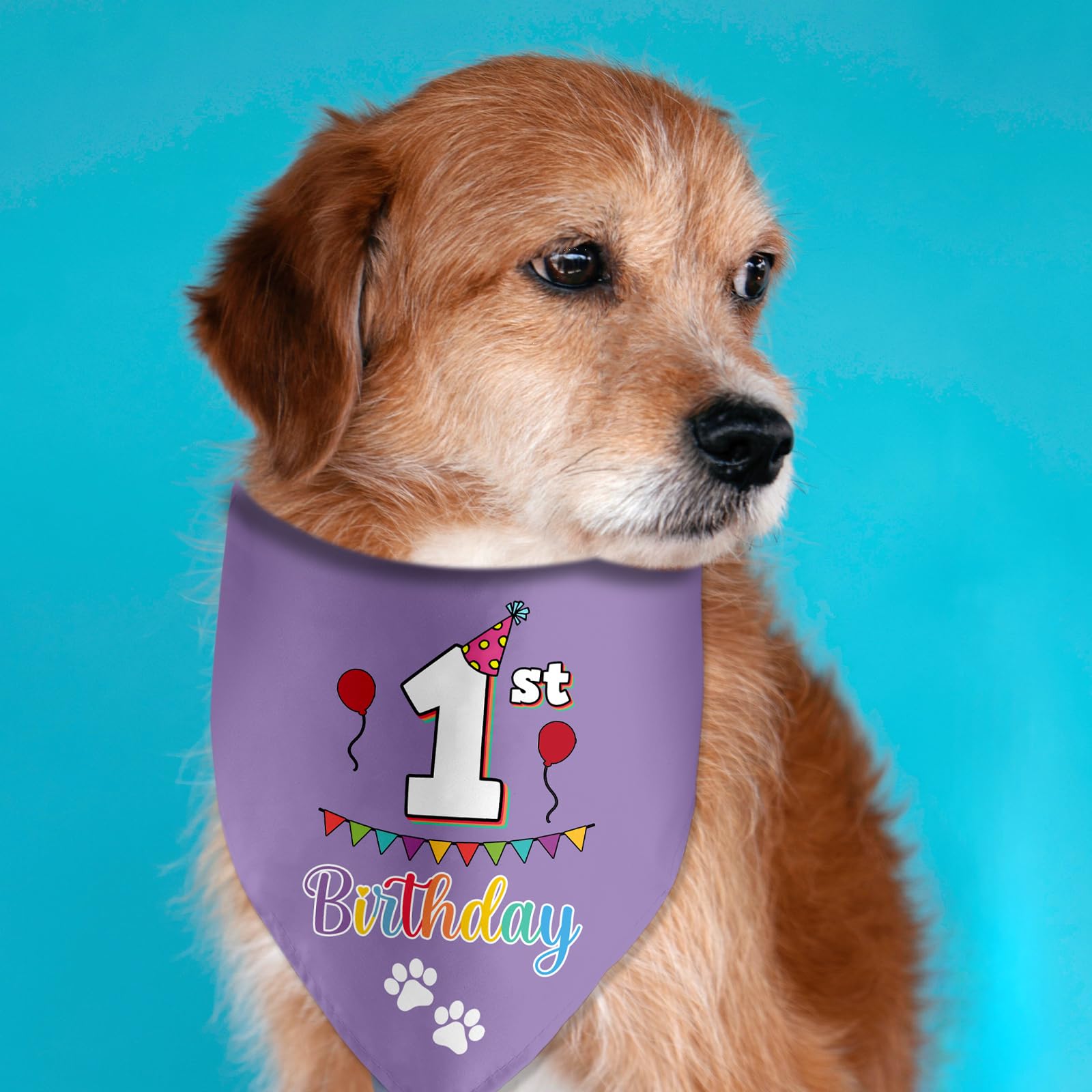 Hunde-Geburtstags-Halstuch – Lila, 66x31 Cm, Für Den 1. Geburtstag, Baumwolle
