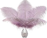 Vista 9 de 24 piezas de plumas de avestruz blanco natural de 10-12 pulgadas (25-30cm) para centros de mesa de bodas y fiestas, arreglos florales y decoración