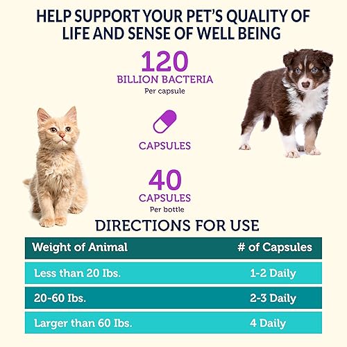 Miniatura 7 de Vetbiome + Plus Probióticos de alta resistencia para mascotas (40 cápsulas) - 120 mil millones de UFC, 9 - Fórmula de cepa - Probado por terceros