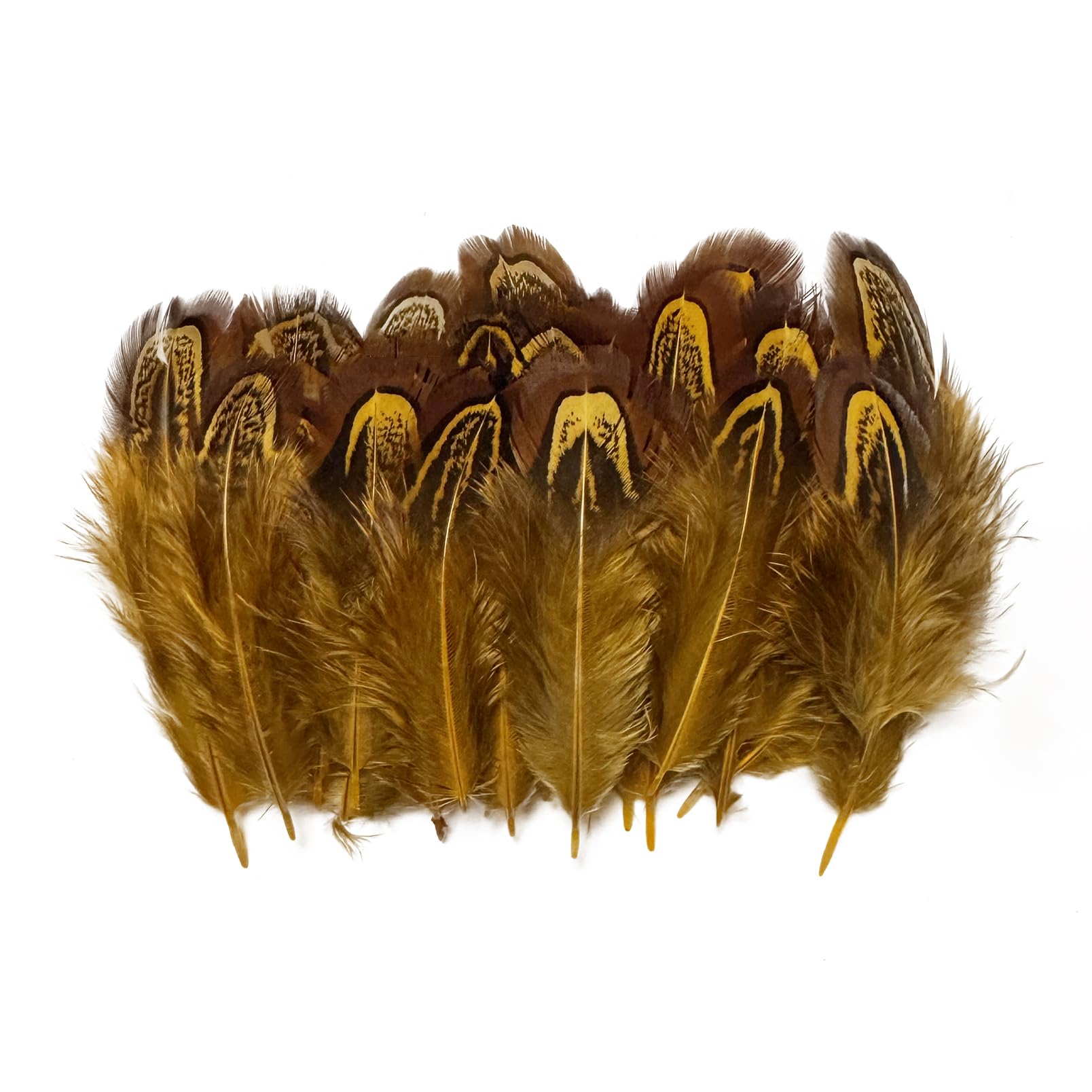 100 pcs Natural Pheasant Plumage Feathers 2-3 Inches Plumage Feathers for Sewing Crafts Clothing Decorating Accessories -Gold