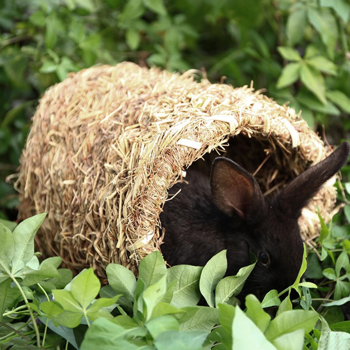 Hemobllo Rabbit Grass Tunnel - Rabbit Hideaway Straw Bunny Tunnel Hand Woven Grass Hideout Toy Playhouse for Guinea Pigs, Chinchilla, Small Animals