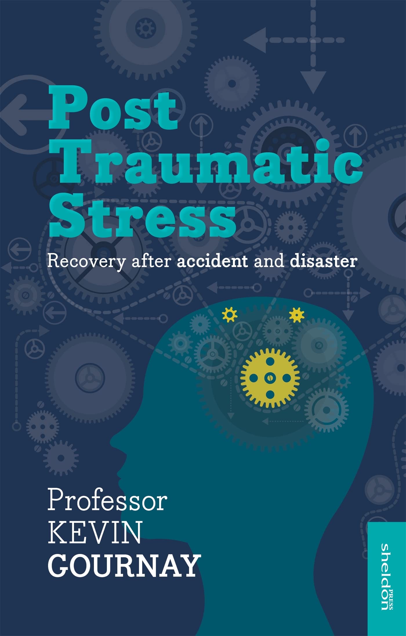 Post-Traumatic Stress: Recovery After Accident and Disaster