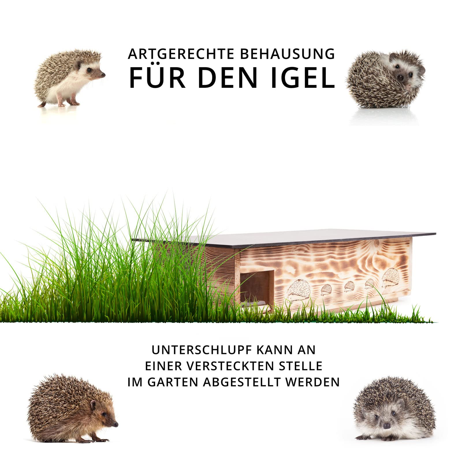 Woid Herz XXXL Hedgehog House New (IG6