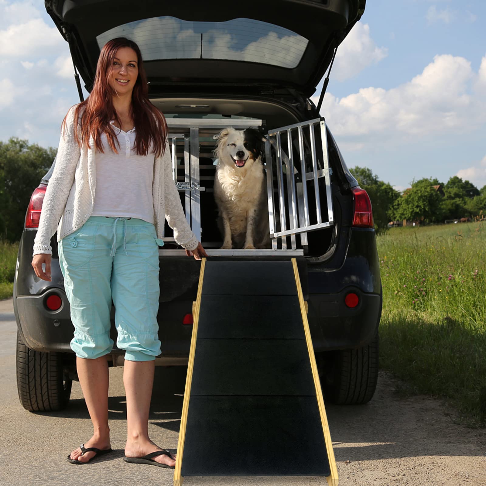 Hunderampe 2 in1 Haustiertreppe 100cm Faltbar Hundetreppe Rampe Hund Anti-rutsch Petwalk Hundeleiter Auffahrrampe Tiertreppe Hundeleiter Katzentreppe, 100x46x63cm (Typ B)