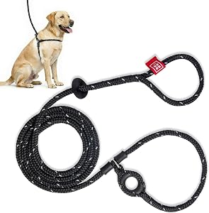 Pet Supplies