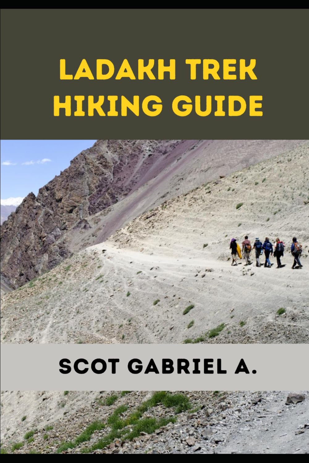 LADAKH TREK HIKING GUIDE (The Explorer’s Hiking Collection)
