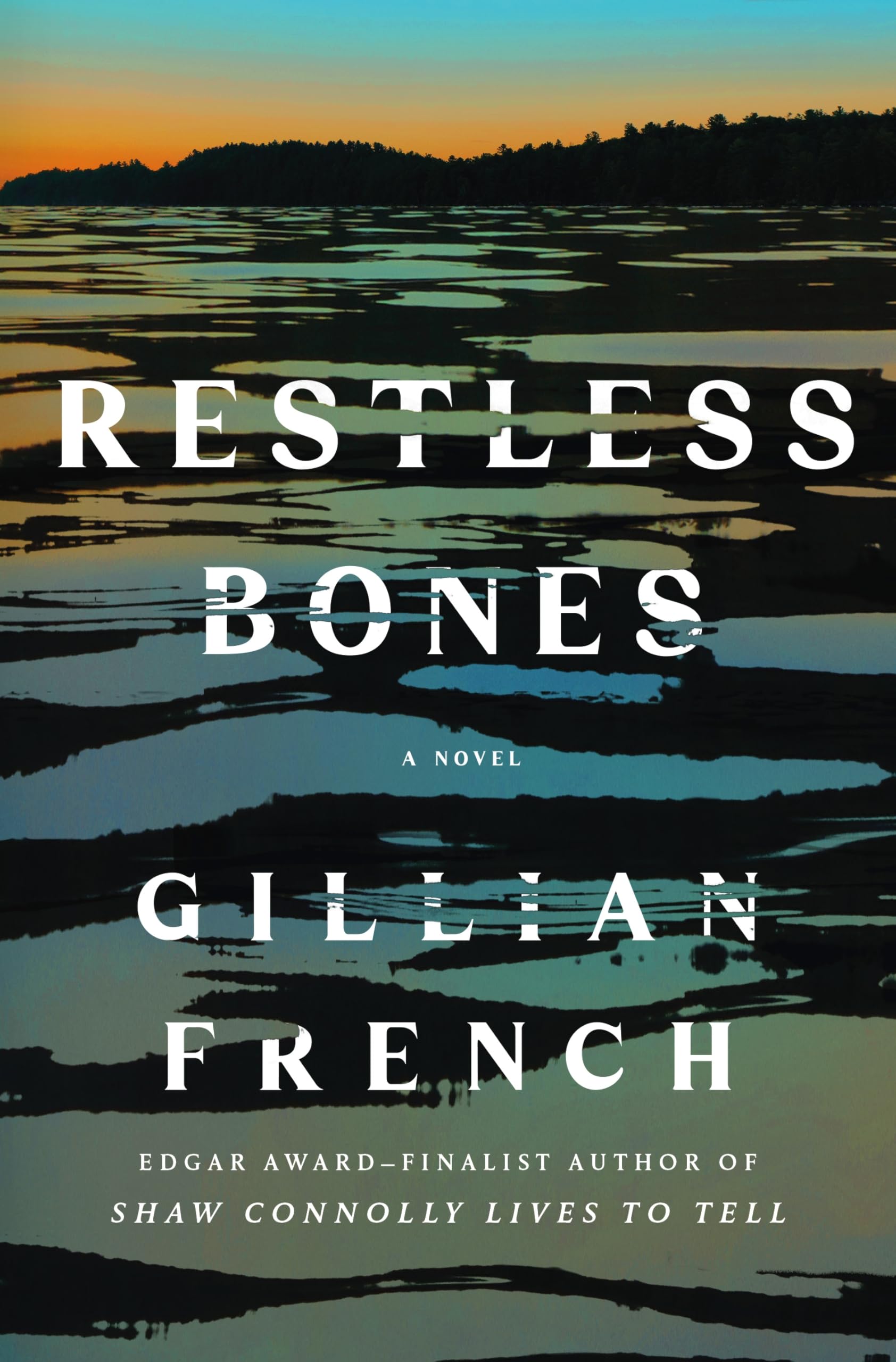 Restless Bones: 2 (Shaw Connolly Mystery)