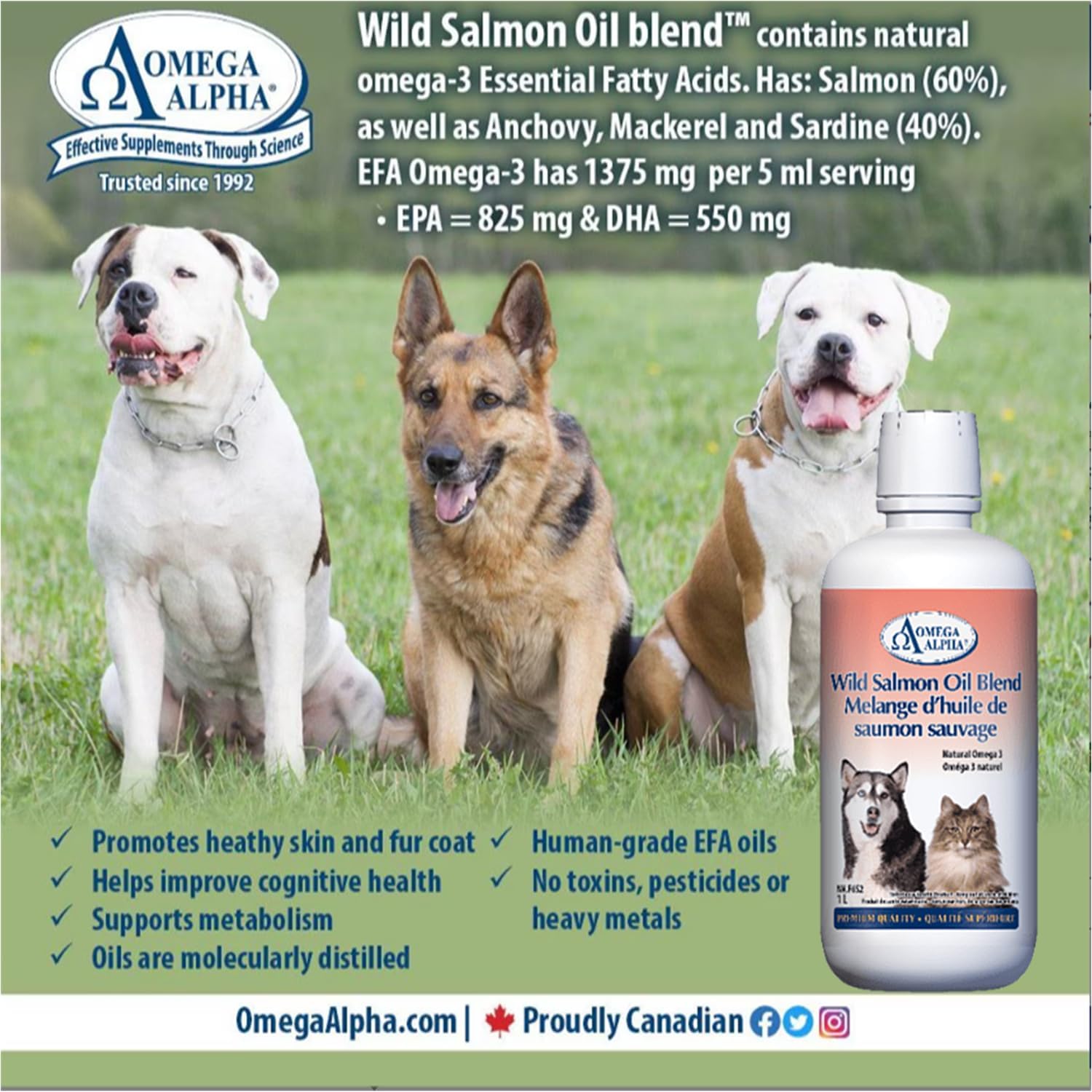 Omega Alpha Wild Salmon Oil for Dogs and Cats Supplements, Pet Daily- 1L