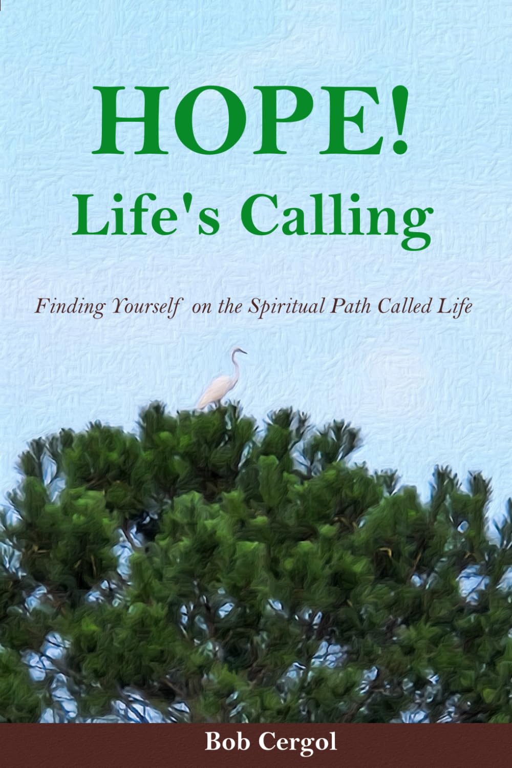Hope! Life's Calling: Finding Yourself on the Spiritual Path Called Life