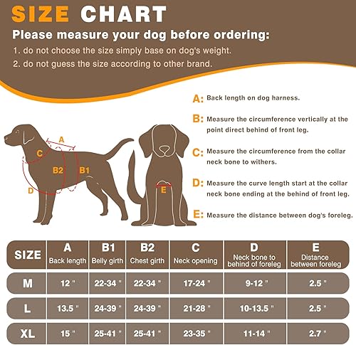 Miniatura 6 de WINSEE Chaleco de entrenamiento para perros de servicio con 10 parches para mascotas, chaleco táctico MOLLE de trabajo para perros grandes, arnés de