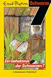  Die Schwarze Sieben, Bd.9, Ein Geheimnis der Schwarzen Sieben