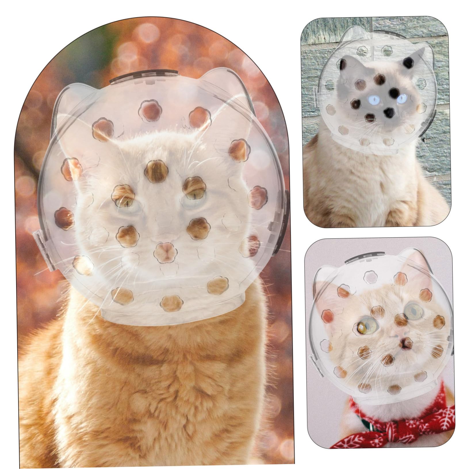 POPETPOP 2 Piezas Capucha de Gato Cat Scratcher Casco Gatito Anti Mordedura Casco Redondo Gato o de para Dejar de lamer Capucha Transparente para s. o para AbS
