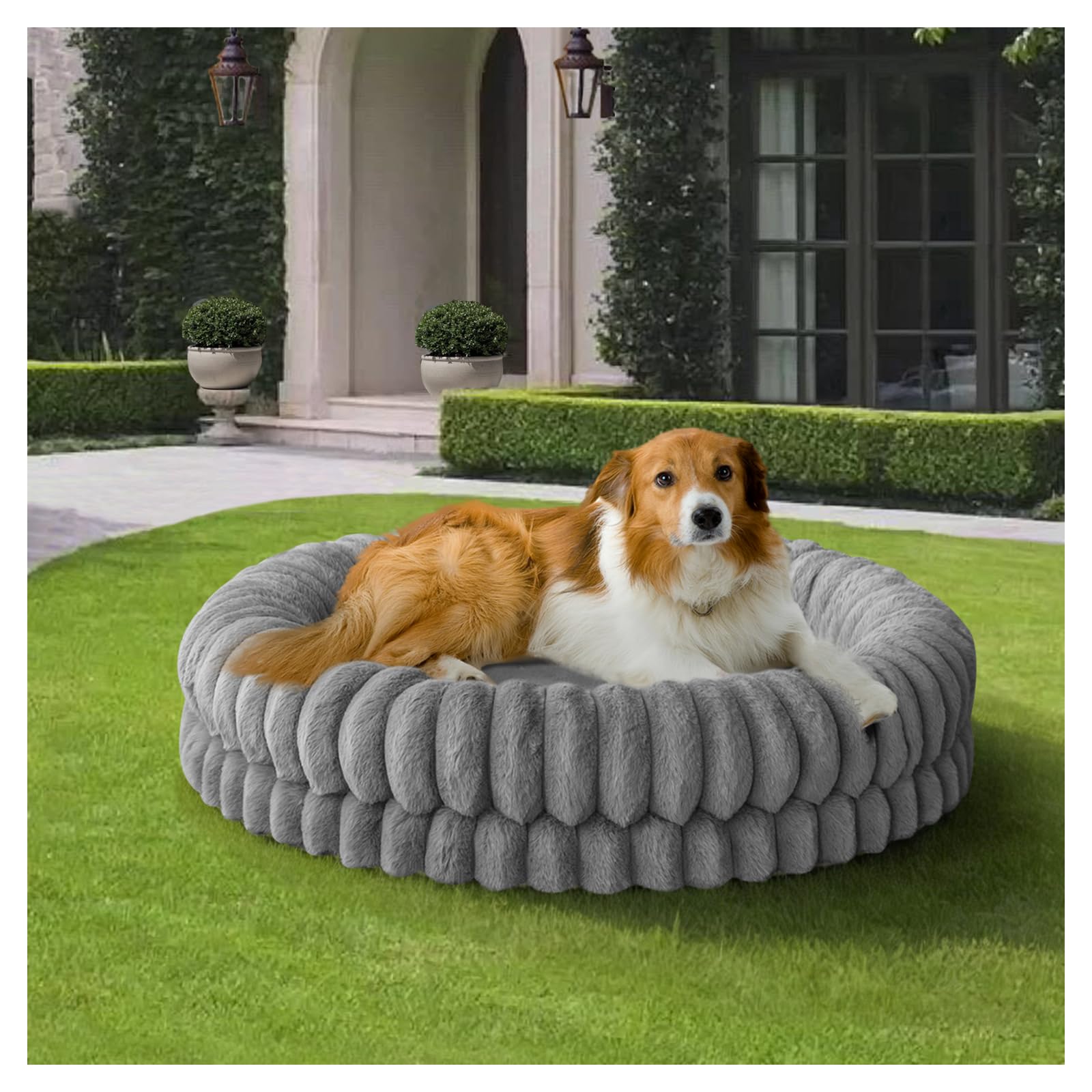 BALANCE Luxury Donut Dog Bed