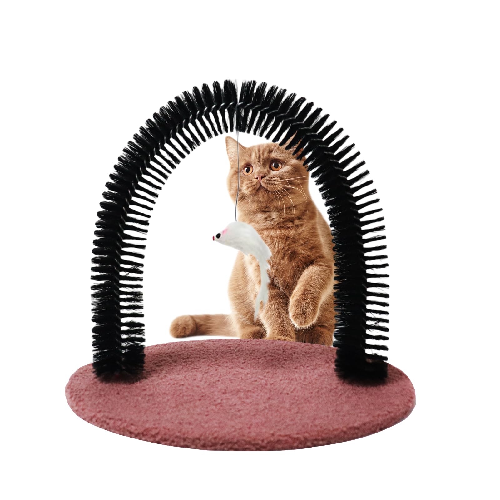 Cat Groomer, Arch Grooming Brush, 14.2x11.4x13.4inch, Shedding Massager Tool, Sturdy Bristles for Hair Removal, Self-Grooming Station, Ideal for Kittens, Cats, Rabbits, Home Use