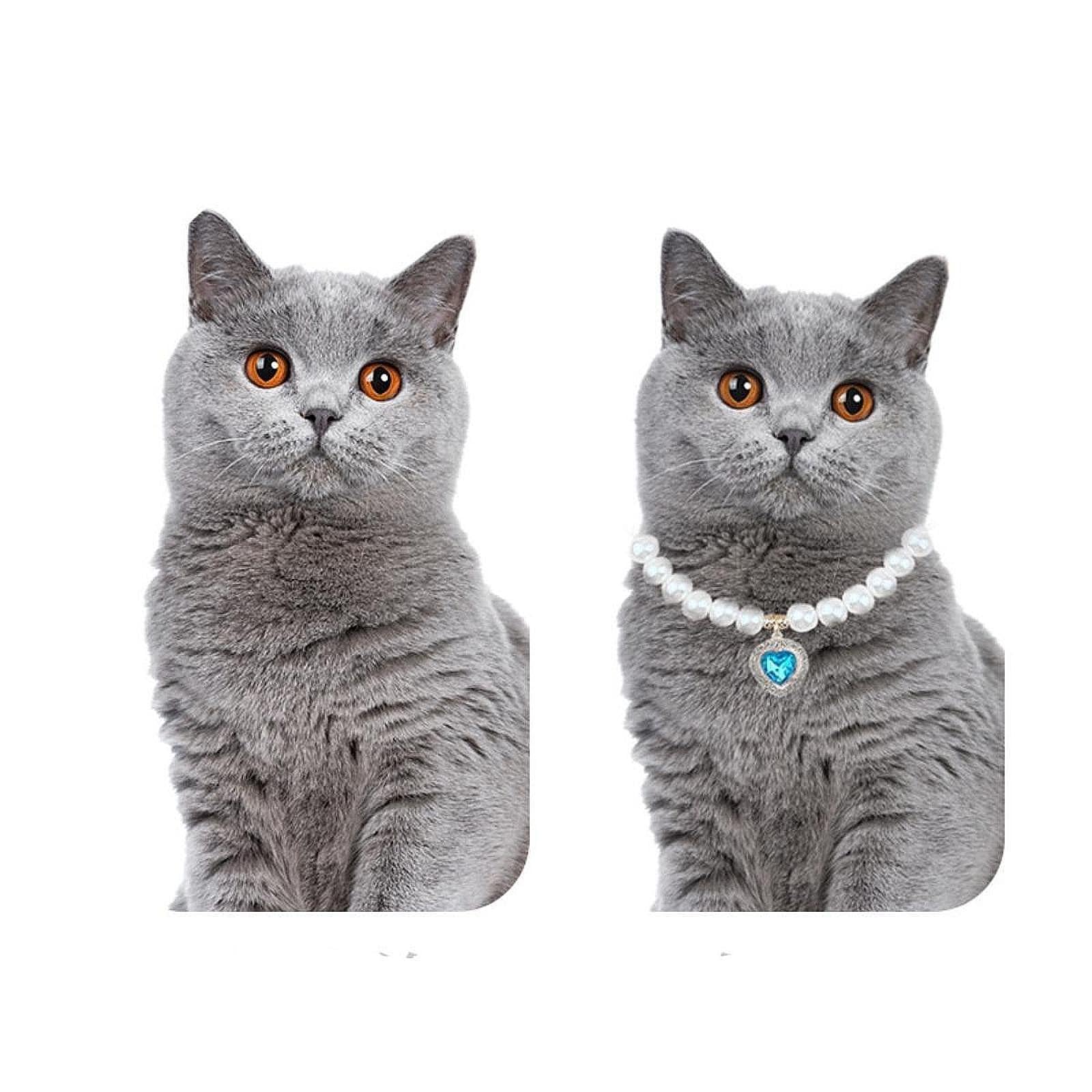 Dog Cat Pearl Necklace Pet Jewelry Outfit Fancy Dress up Elegant Adjustable Dog Collar Necklace for Small Dogs Kitten Parties, S