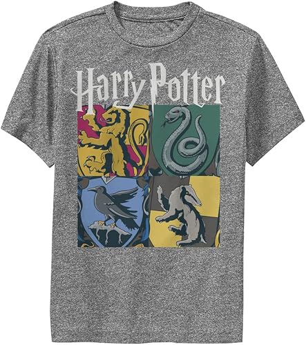 Harry Potter Todas Las Casas CamisetaUnisex niño, Carbón Heather, L