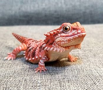 フトアゴヒゲトカゲ（レッド）　いきもの大図鑑プレミアム　生き物 いきもの大図鑑プレミアム フトアゴヒゲトカゲ（レッド