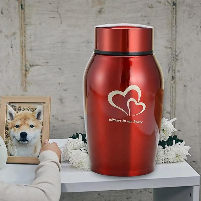 Foto 4 de 6 de ZHYUAN Urna de cremación,Urna Conmemorativa,Pequeña urna Conmemorativa,Urna para Mascotas,Urna para Mascotas…