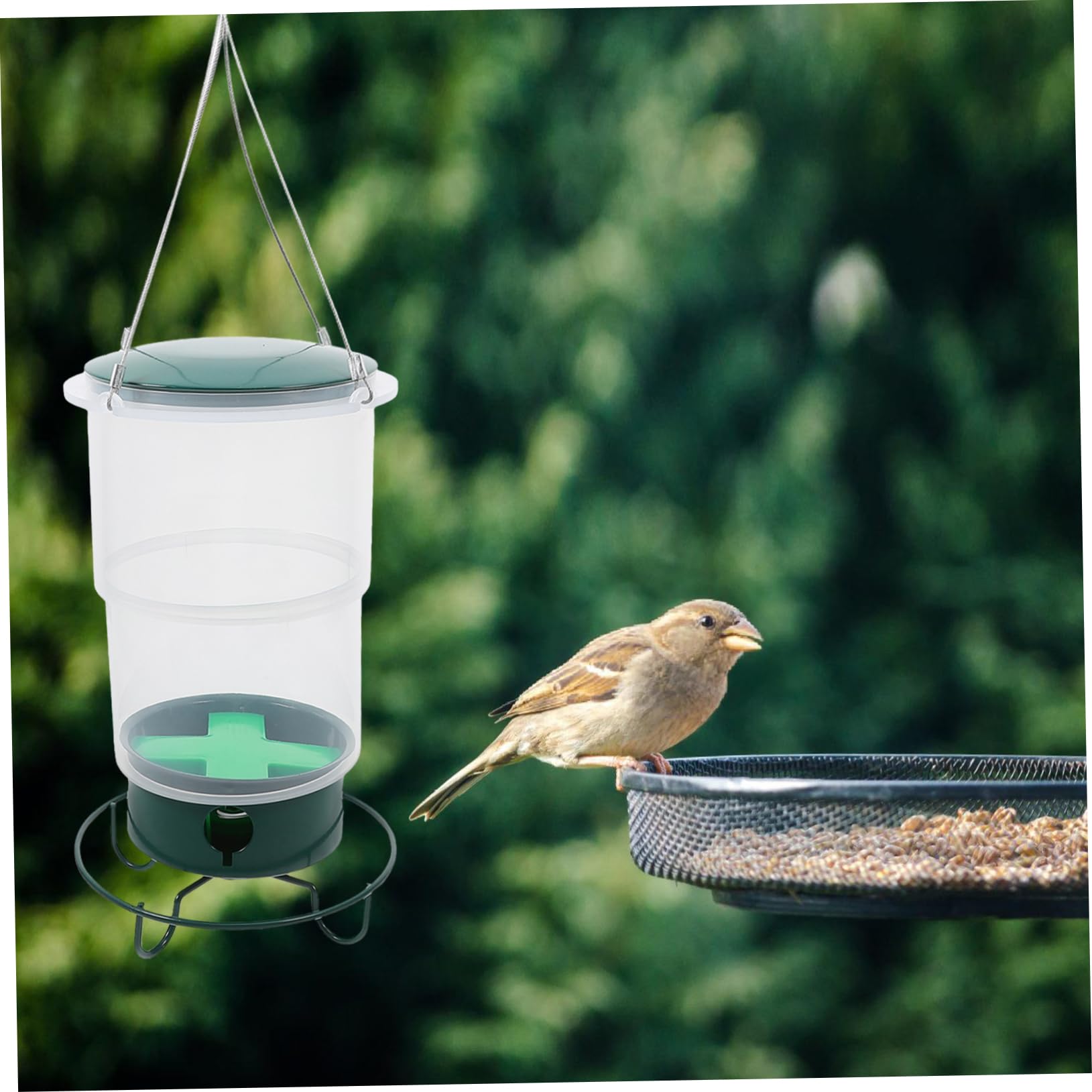Hängender Hummingbird Feeder Wetterbeständige Futterstation Für Außenbereich Design Mit Schmetterlingsornament Für Garten Und Terrasse