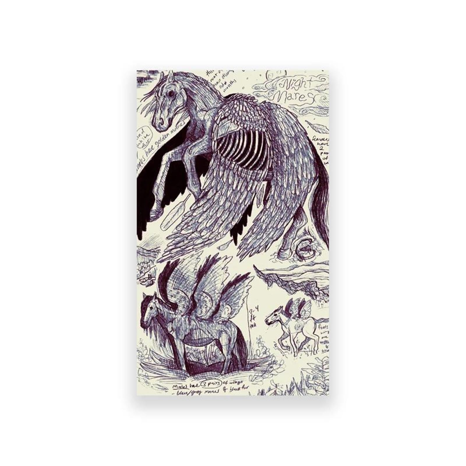 Affiche de Jument de Nuit Pegasus pour sublimer votre chambre
