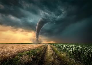 BELECO 7x5ft Fabric Farmland Tornado Backdrops for Photography Countryside Wheat Field Corn Field Dark Sky Stormy Lightning Tornado Background Tornado Party Decorations Portrait Photo Studio Props