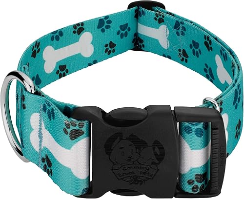 Country Brook Petz - Collar de lujo Oh My Dog - Colección Dog's Life con 1 diseño divertido (1 12 pulgadas, extra grande) disponible en Yaxa Costa Rica