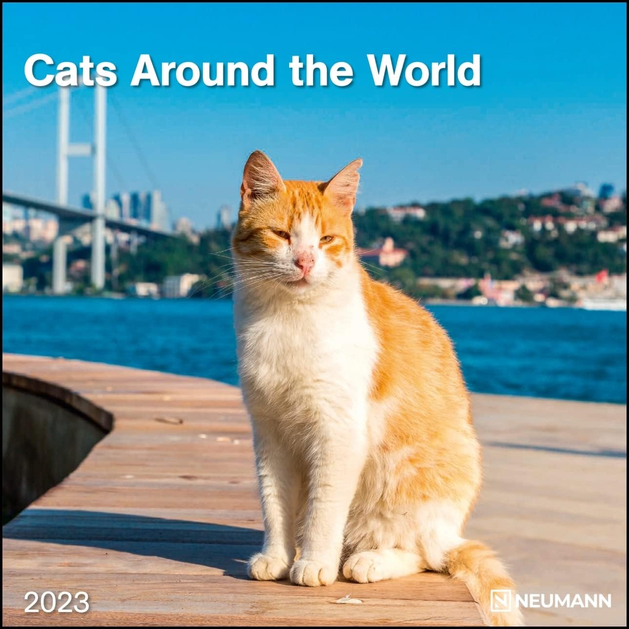 CATS AROUND THE WORLD GRID CALENDAR 2023