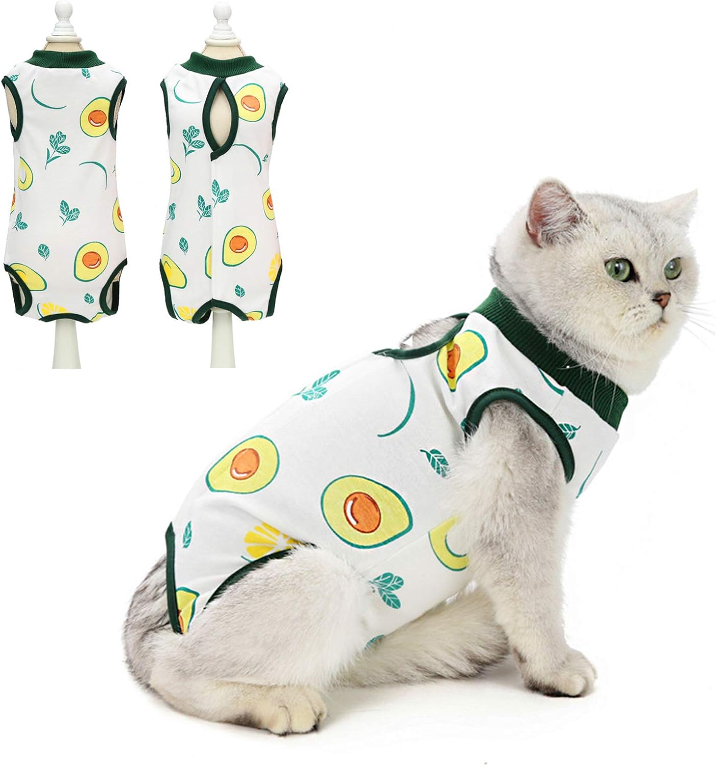 cat cone collar alternative diy