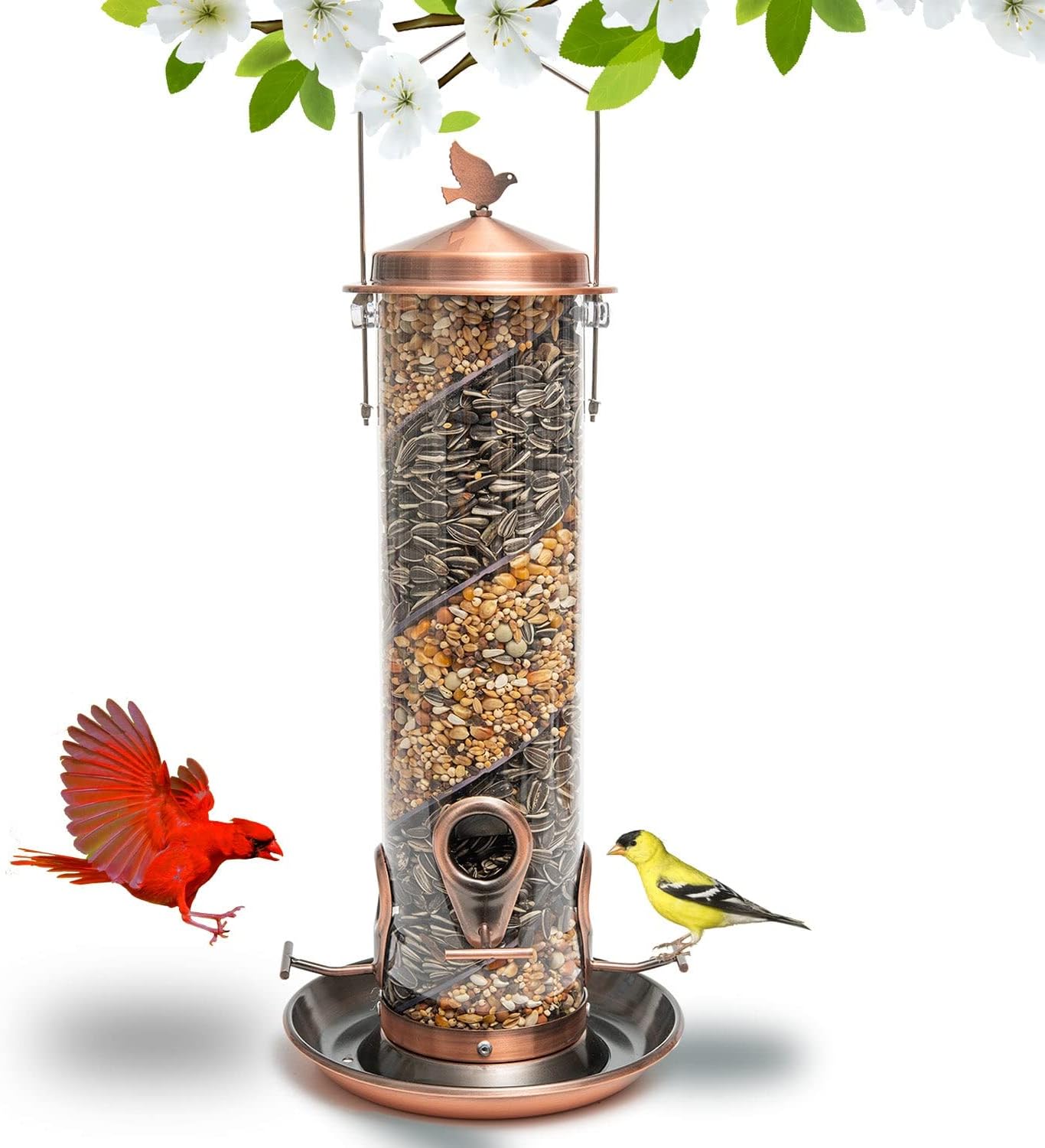 Nature Anywhere Copper Colored Spiral Bird Feeder with Double Feeders for Outside. Fits Pole and House Hooks. Includes Free Funnel. Feed Large and Small Birds Like Cardinal, Woodpecker & Finch.
