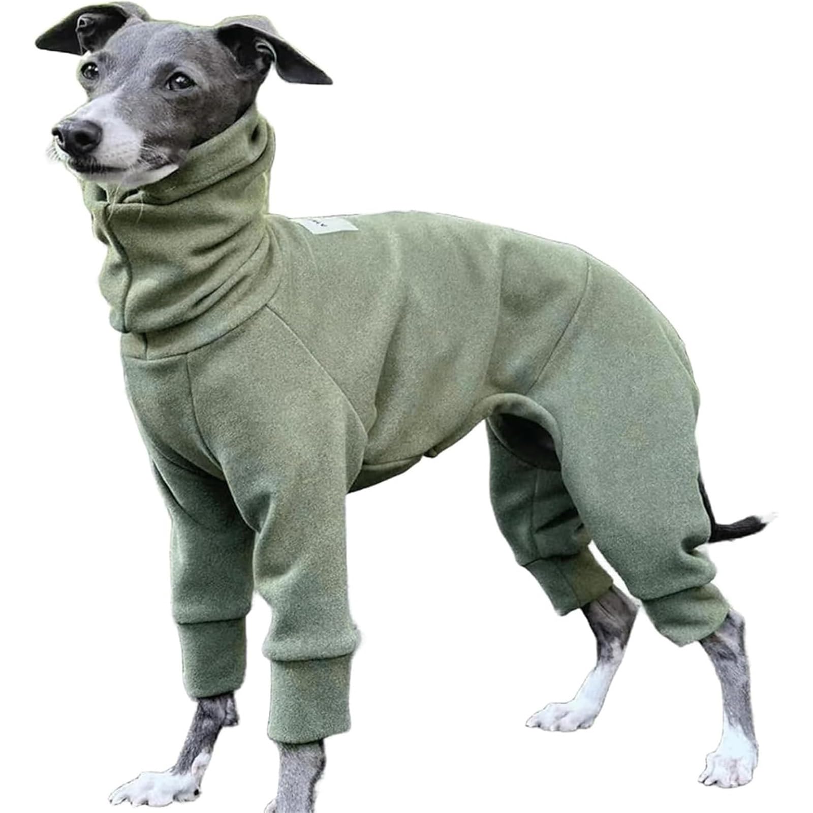 Manteau chien froid pour vêtements Whippet et pyjama chaud vert