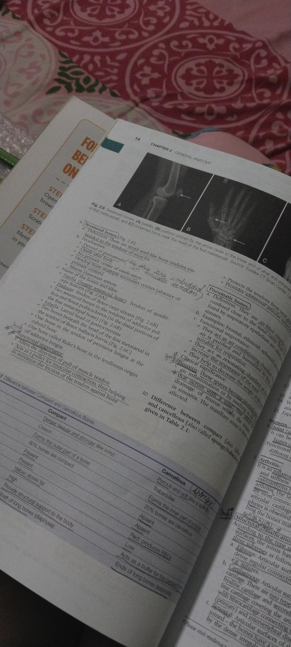 Early Clinical Exposure in Anatomy - E-Book: a new outlook on Clinical ...
