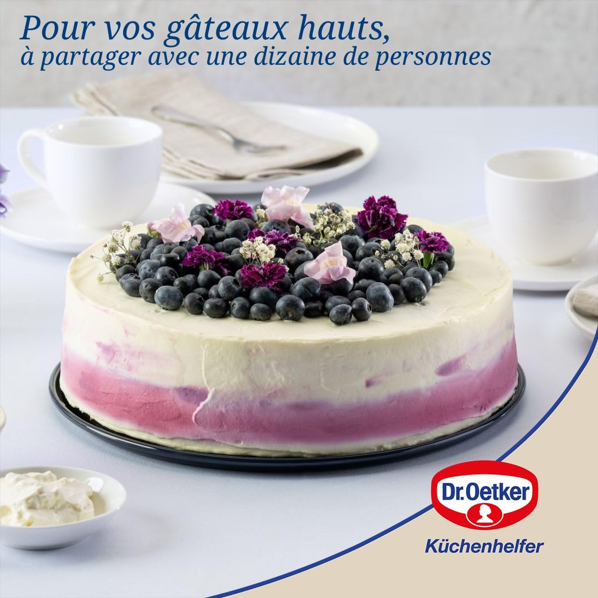Dr.Oetker 1100 Moule à manqué à charnière de 26 cm étanche, Moule à charnière Fond en émail renforcé, Acier, Email, Bleu, 26 cm
