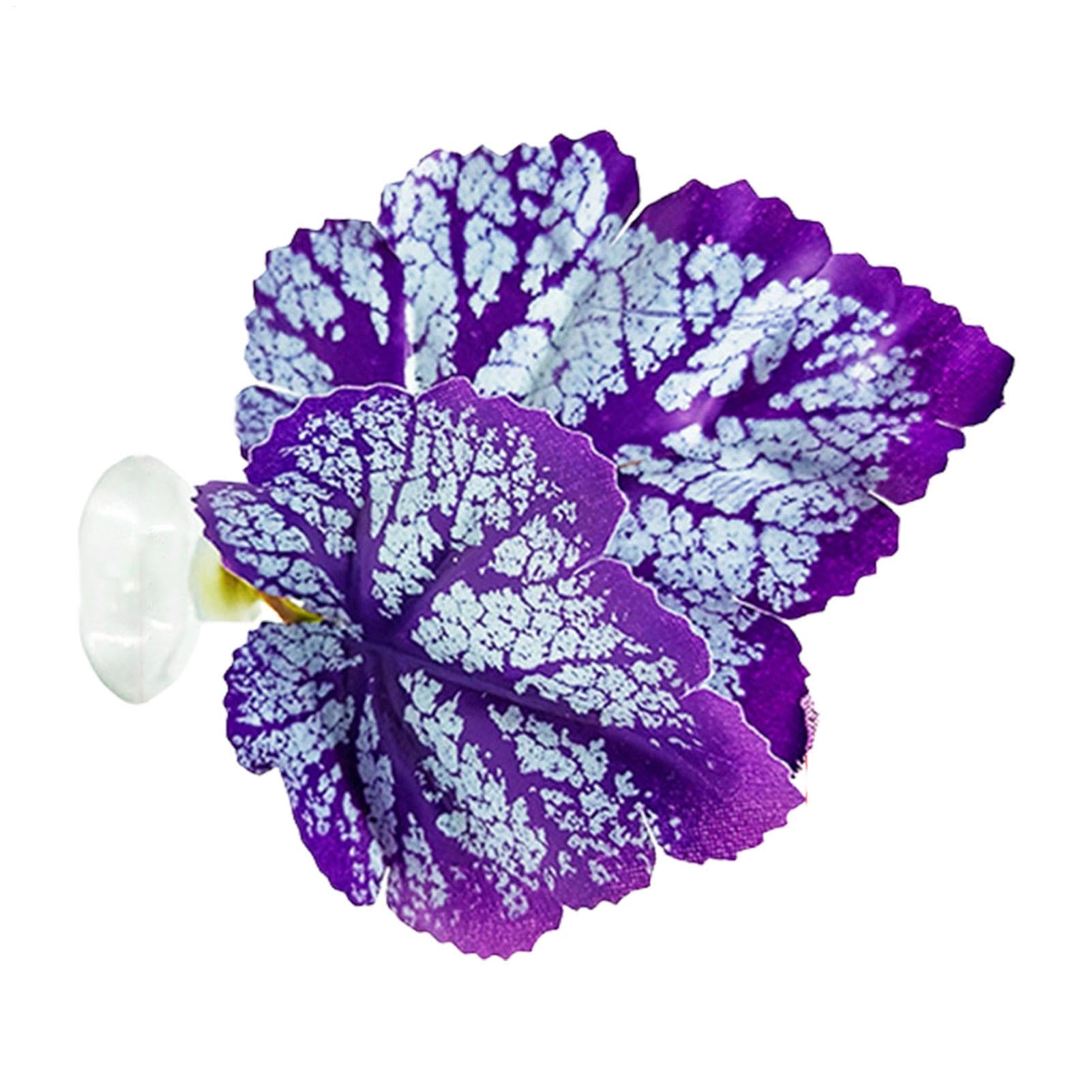 XIAOXIAOYU Feuille de Repos pour Poisson Betta, Coussinet de Feuilles de Poisson Betta,Feuille de Betta légère | Coussinet de Feuilles de Flexible et sûr, pour Aquarium de Poissons Betta, Aquarium,